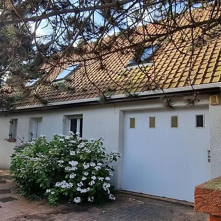 Les Oyats- 6 Couchages A 200 M De La *